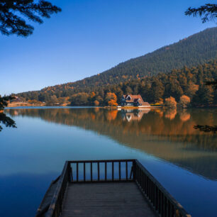 Bolu