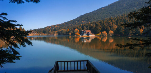 Bolu