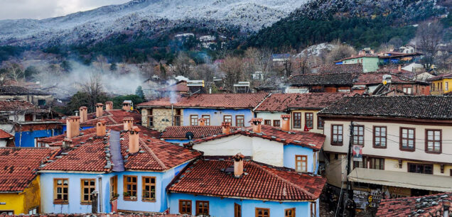 Bursa