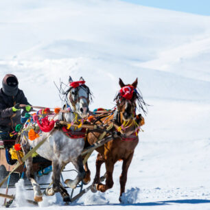 Kars