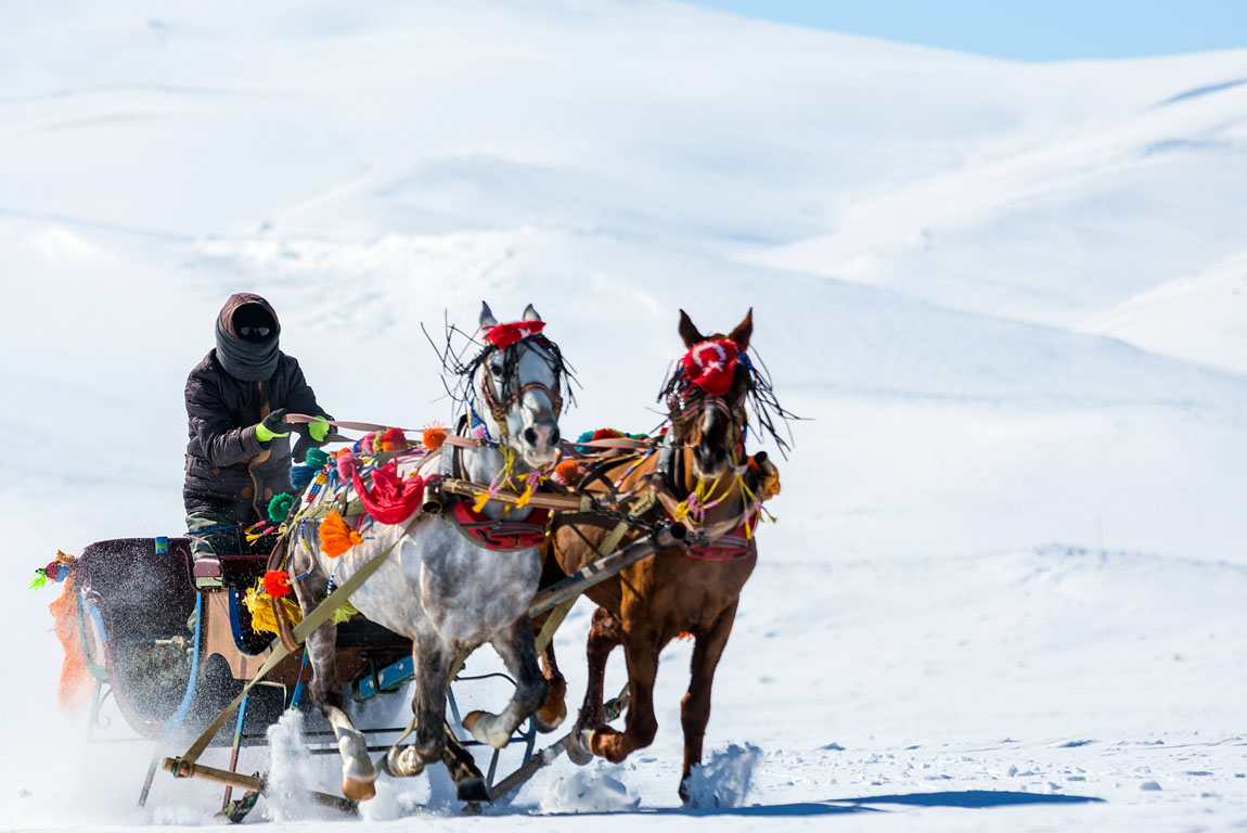 Traditional horse transport with sleigh