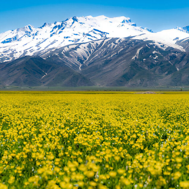 Hakkâri