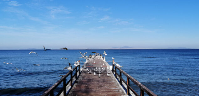 Yalova