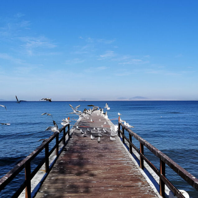 Yalova