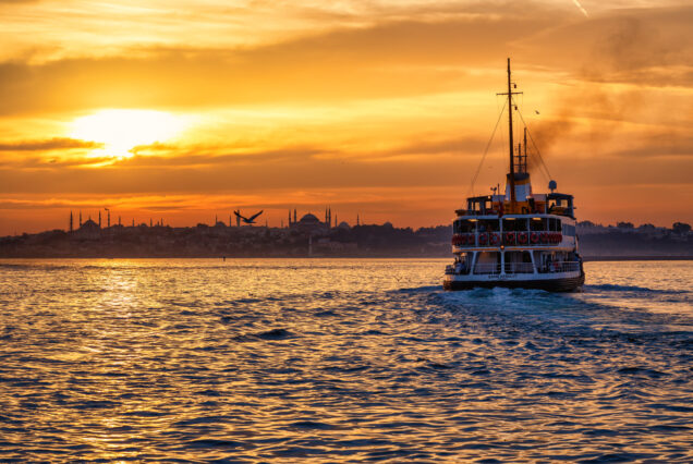 Night Bosphorus Cruise On A Boat