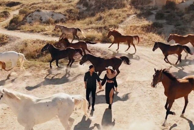 A Photo Shoot With Horses In Cappadocia